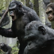 Scimmie in rivolta contro gli umani in Apes Revolution - Il pianeta delle scimmie