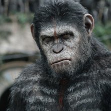 Apes Revolution - Il Pianeta delle Scimmie: una scena del film