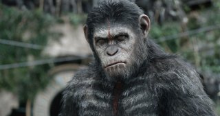 Apes Revolution - Il Pianeta delle Scimmie: una scena del film