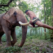 The Protector 2: Tony Jaa si allena sulle zanne di un elefante in una scena del film