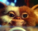 Gremlins, Goonies: Chris Columbus produrrà i sequel?