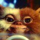 Gremlins, Goonies: Chris Columbus produrrà i sequel?