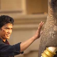 The Protector 2: Tony Jaa nei panni di Kham accarezza un elefante in una scena del film