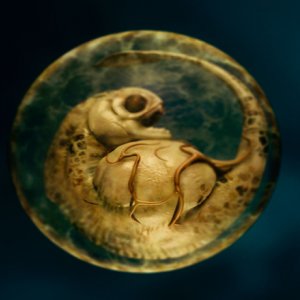 Piranha 3D - il feto di uno dei temibili mostri