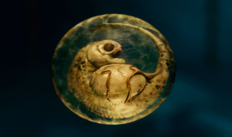 Piranha 3D - il feto di uno dei temibili mostri
