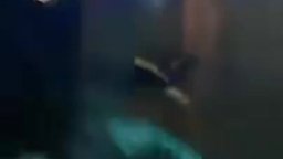 Motion Poster 'Donatello' - Tartarughe Ninja