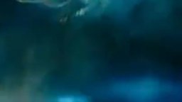 Motion Poster 'Leonardo' - Tartarughe Ninja