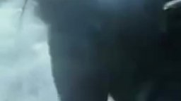 Motion Poster 'Michelangelo' - Tartarughe Ninja