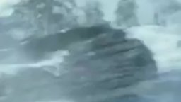 Motion Poster 'Raffaello' - Tartarughe Ninja