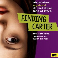 Finding Carter: una locandina per la prima stagione