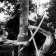 Cinefantamondiale, Rashomon trionfa!