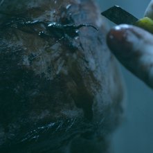 Un'impressionante immagine dell'horror Antisocial