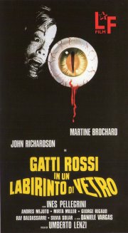 Locandina di Gatti rossi in un labirinto di vetro