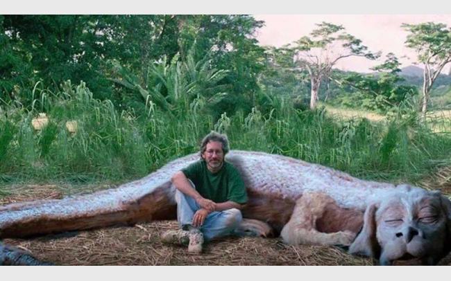 Spielberg il cacciatore - Falkor
