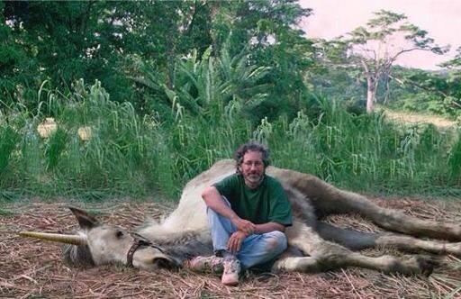 Spielberg il cacciatore - unicorno