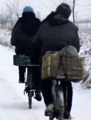 Locandina di Songs from the North