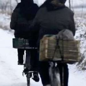 Locandina di Songs from the North