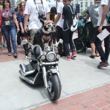 Comic-Con 2014: Cosplay a quattro zampe