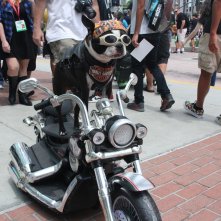Comic-Con 2014: Cosplay - una versione canina di Ghostrider... forse
