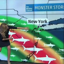 Sharknado 2: prevista pioggia di squali