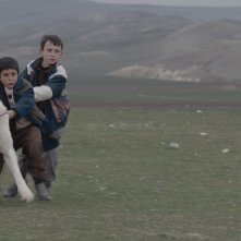 Sivas: Doğan İzci in una scena del film con il suo cane Sivas