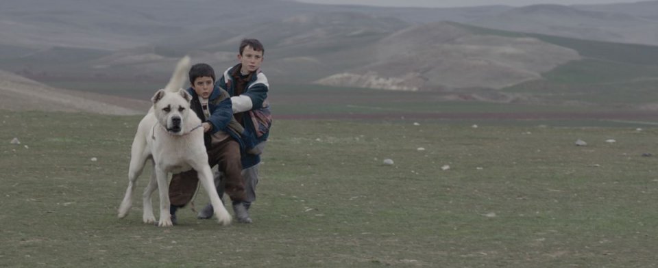 Sivas: Doğan İzci in una scena del film con il suo cane Sivas