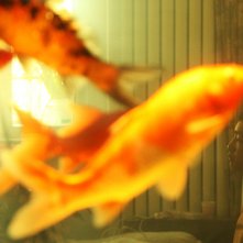 Una scena del film Red Amnesia