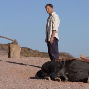 Loin des hommes: Viggo Mortensen in una scena del film