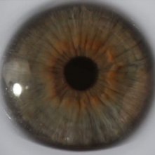 Under the Skin: l'occhio alieno ci osserva