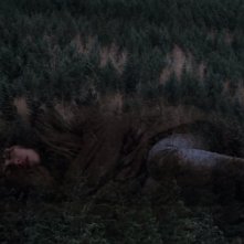 Under the Skin: Scarlett Johansson abbracciata dalla foresta in una scena