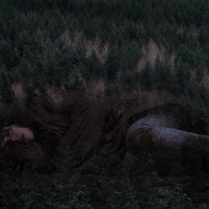 Under the Skin: Scarlett Johansson abbracciata dalla foresta in una scena