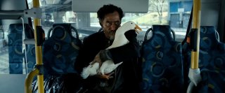 Words with Gods: una scena del frammento The man who stole a duck, di Héctor Babenco