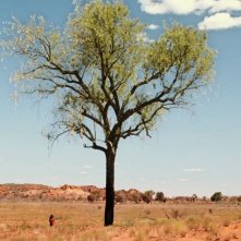 Words with gods: una scena del frammento True Gods diretto da Warwick Thornton