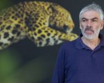Locarno 2014: il Boccalino d'oro premia Pedro Costa