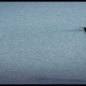 The Lack: un'affascinante immagine del film di Masbedo