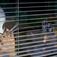 Goodnight Mommy: Susanne Wuest in una scena del film