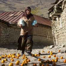 Nabat: Fatemeh Motamed Arya in una scena del film