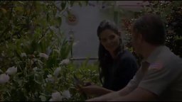 Trailer - Miss Meadows