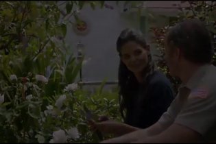 Trailer - Miss Meadows