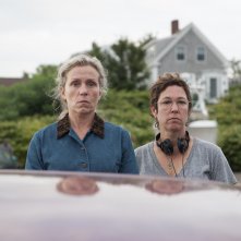 Francesmcdormand Lisacholodenko