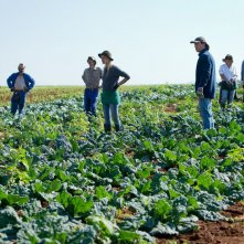 La nostra terra: una scena di gruppo tratta dal film