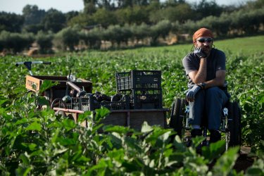 La nostra terra: Giovanni Calcagno in una scena del film