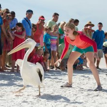 L'incredibile storia di Winter il delfino 2: Cozi Zuehlsdorff con un pellicano in una scena
