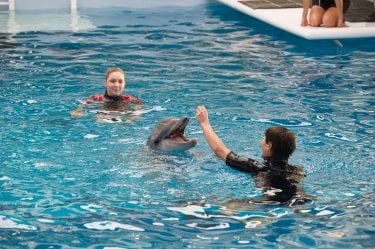L'incredibile storia di Winter il delfino 2: Cozi Zuehlsdorff con Nathan Gamble con l'amico delfino in una scena del film