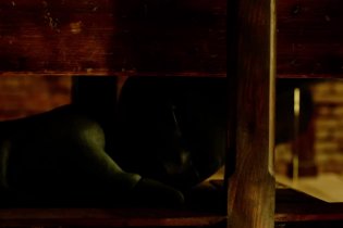 Trailer Italiano - Un fantasma per amico