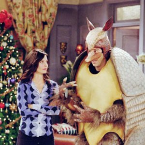 Friends: David Schwimmer e Courteney Cox nell'episodio L'armadillo natalizio