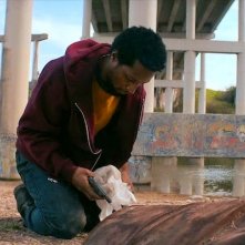 American Crime: una scena del pilot