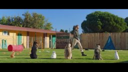 Clip 'Campo di addestramento' - Pongo, il cane milionario