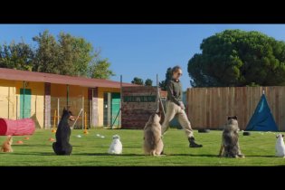 Clip 'Campo di addestramento' - Pongo, il cane milionario