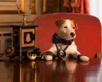 Pongo, il cane milionario: clip esclusiva del film